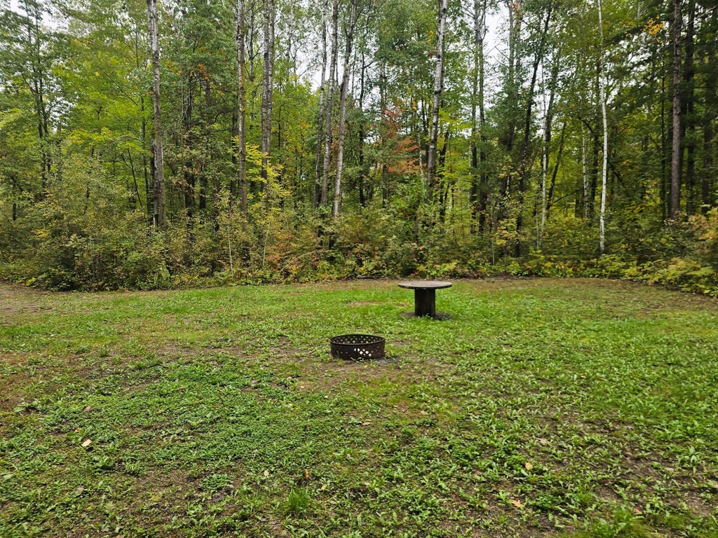 Photo of 20012 Nature Trail Trl, Ironton, MN 56455 (MLS # 7150542)