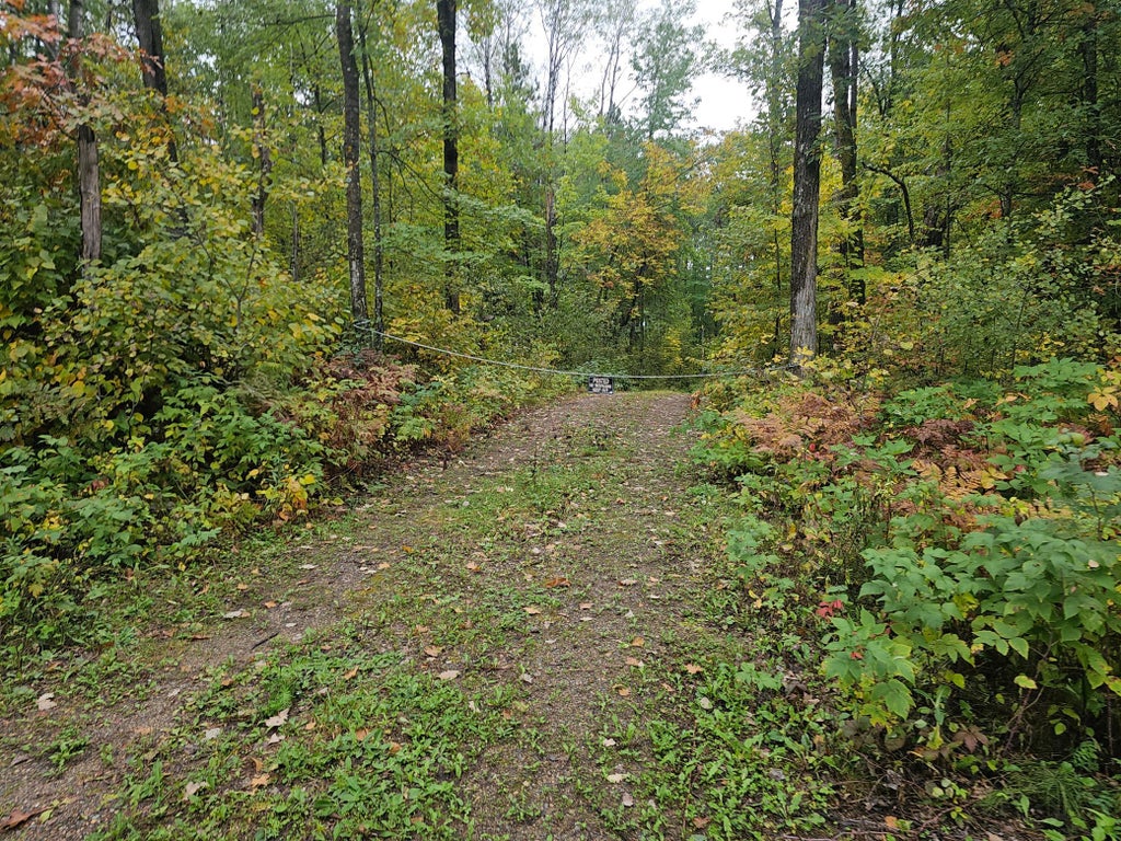 Photo of 20012 Nature Trail Trl, Ironton, MN 56455 (MLS # 7150542)