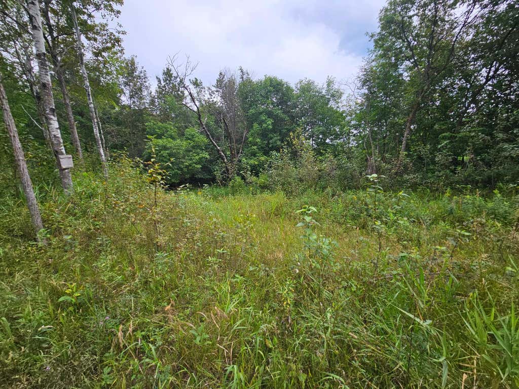 Photo of tbd Moose River Road E, Grygla, MN 56727 (MLS # 7128999)