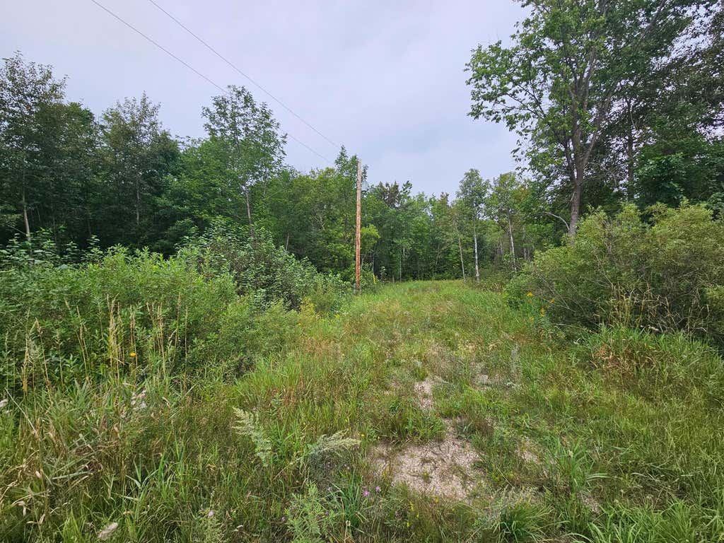 Photo of tbd Moose River Road E, Grygla, MN 56727 (MLS # 7128999)