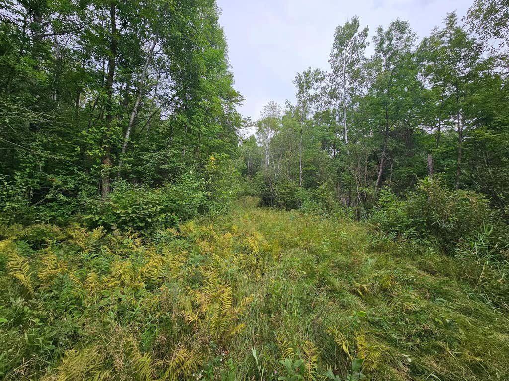 Photo of tbd Moose River Road E, Grygla, MN 56727 (MLS # 7128999)