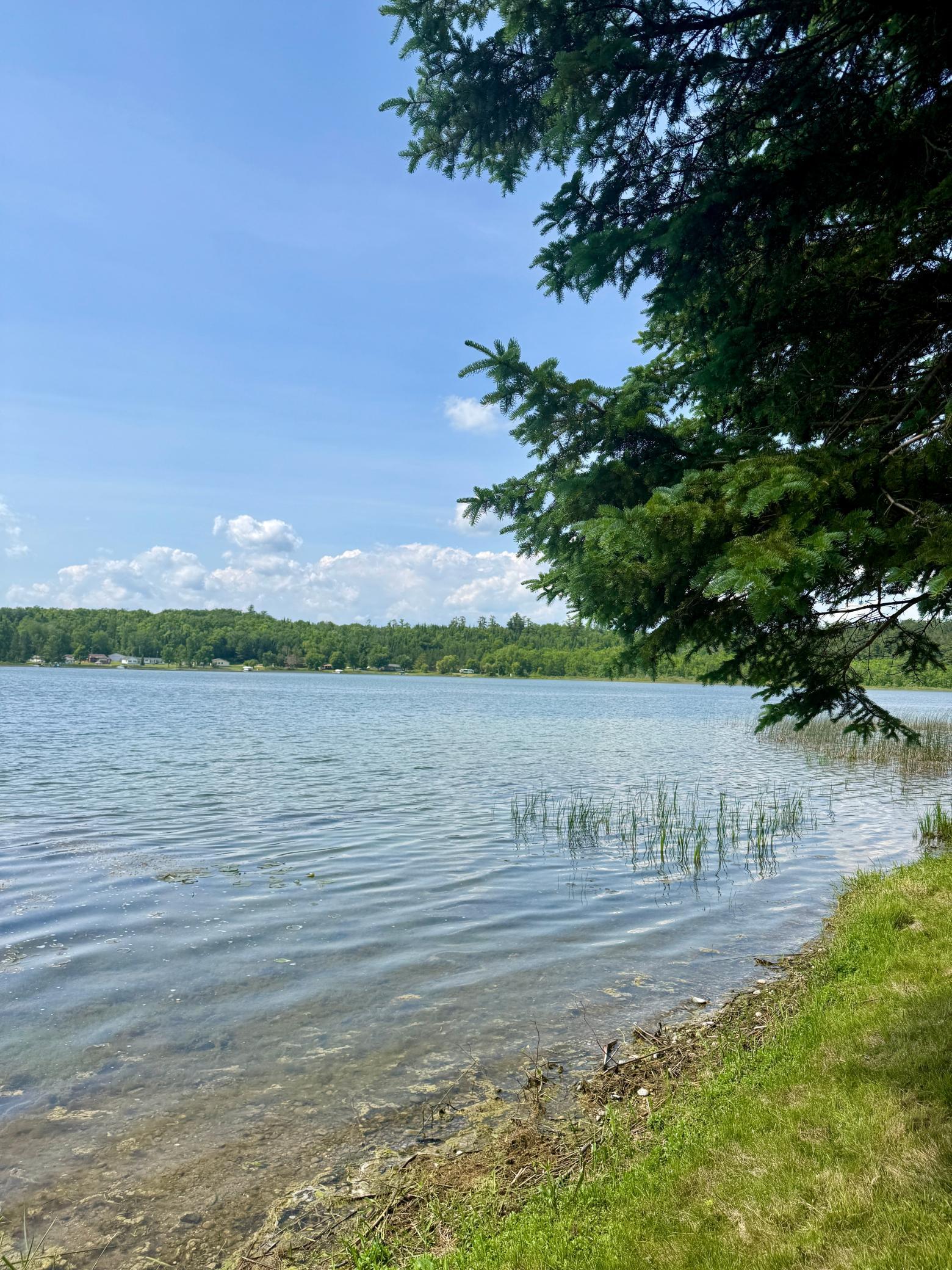 39130 Notebloom Lane