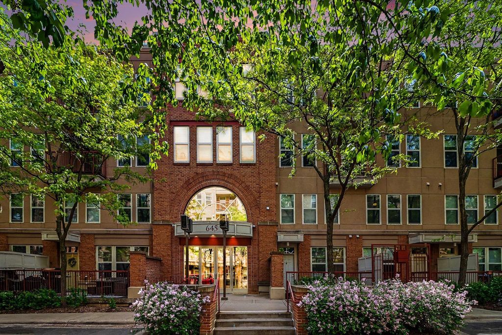 Photo of 645 N 1st Street #300, Minneapolis, MN 55401 (MLS # 7079283)