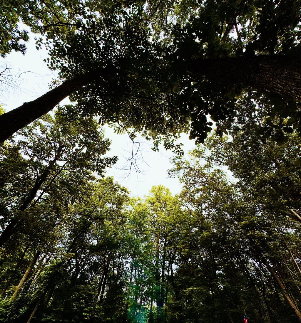 Photo of 10531 Chippewa Beach Road NW, Cass Lake, MN 56633 (MLS # 7045574)