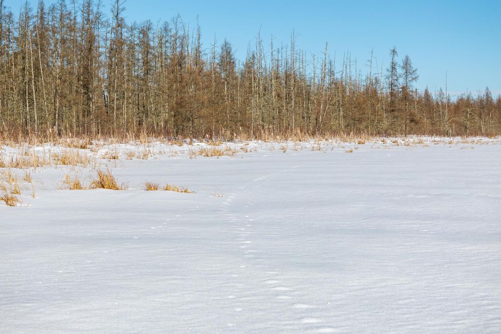 Photo of TBD 36th Avenue SW, Pine River, MN 56474 (MLS # 7017136)