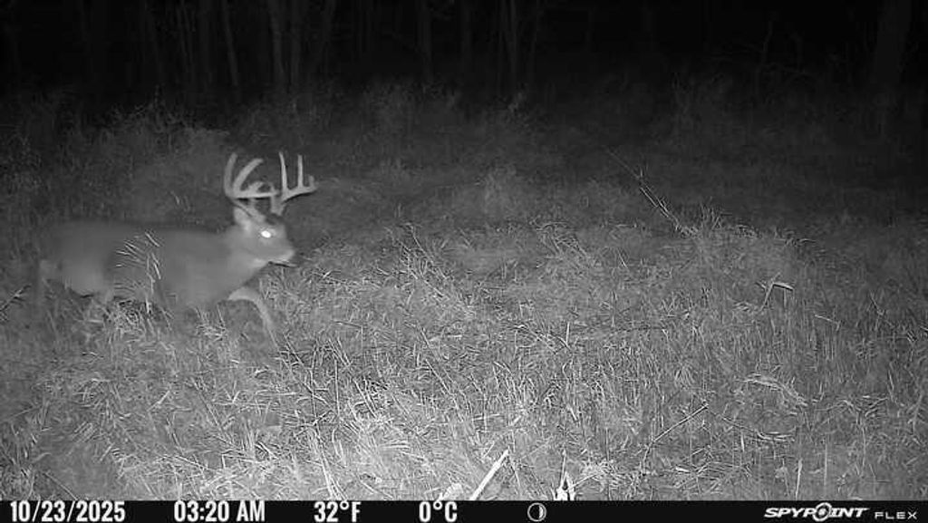 Photo of TBD Variolite St NW, Saint Francis, MN 55070 (MLS # 7031134)