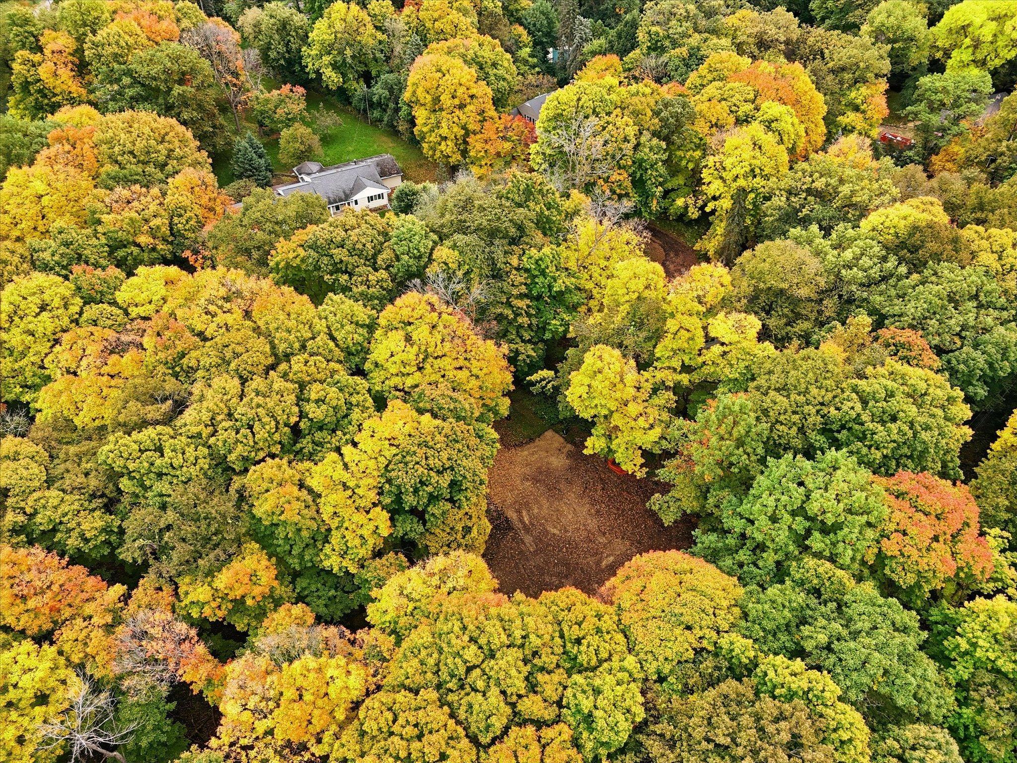 1426 Holdridge Circle