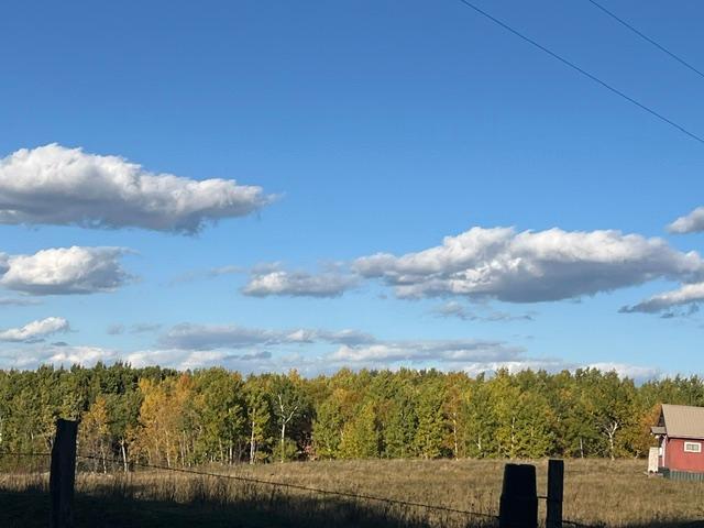 Photo of 19212 Stockyard Road, Bagley, MN 56621 (MLS # 7159547)