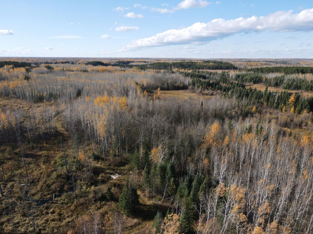 Photo of TBD Rice Rapids Road, Effie, MN 56639 (MLS # 7046937)