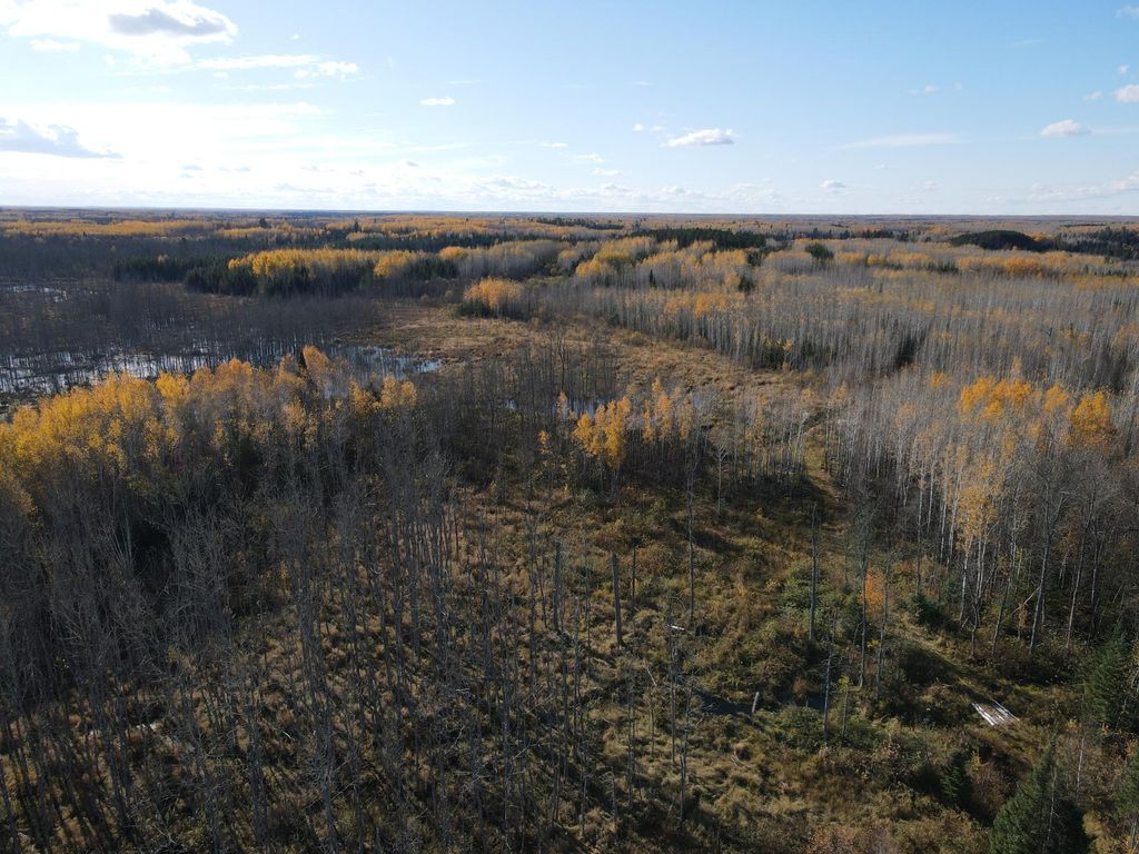 Photo of TBD Rice Rapids Road, Effie, MN 56639 (MLS # 7046937)