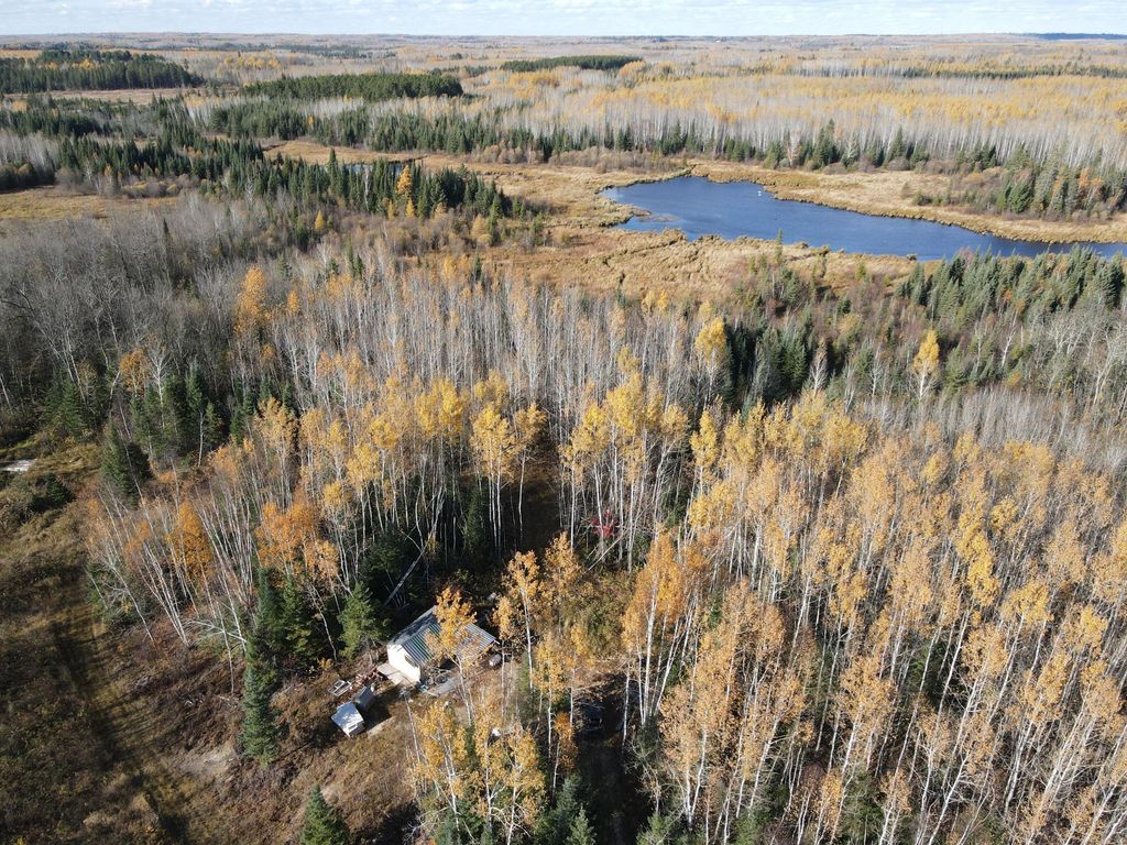 Photo of TBD Rice Rapids Road, Effie, MN 56639 (MLS # 7046937)