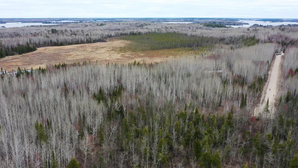 Photo of TBD Parcel 15 Hwy 115, Tower, MN 55790 (MLS # 7070213)
