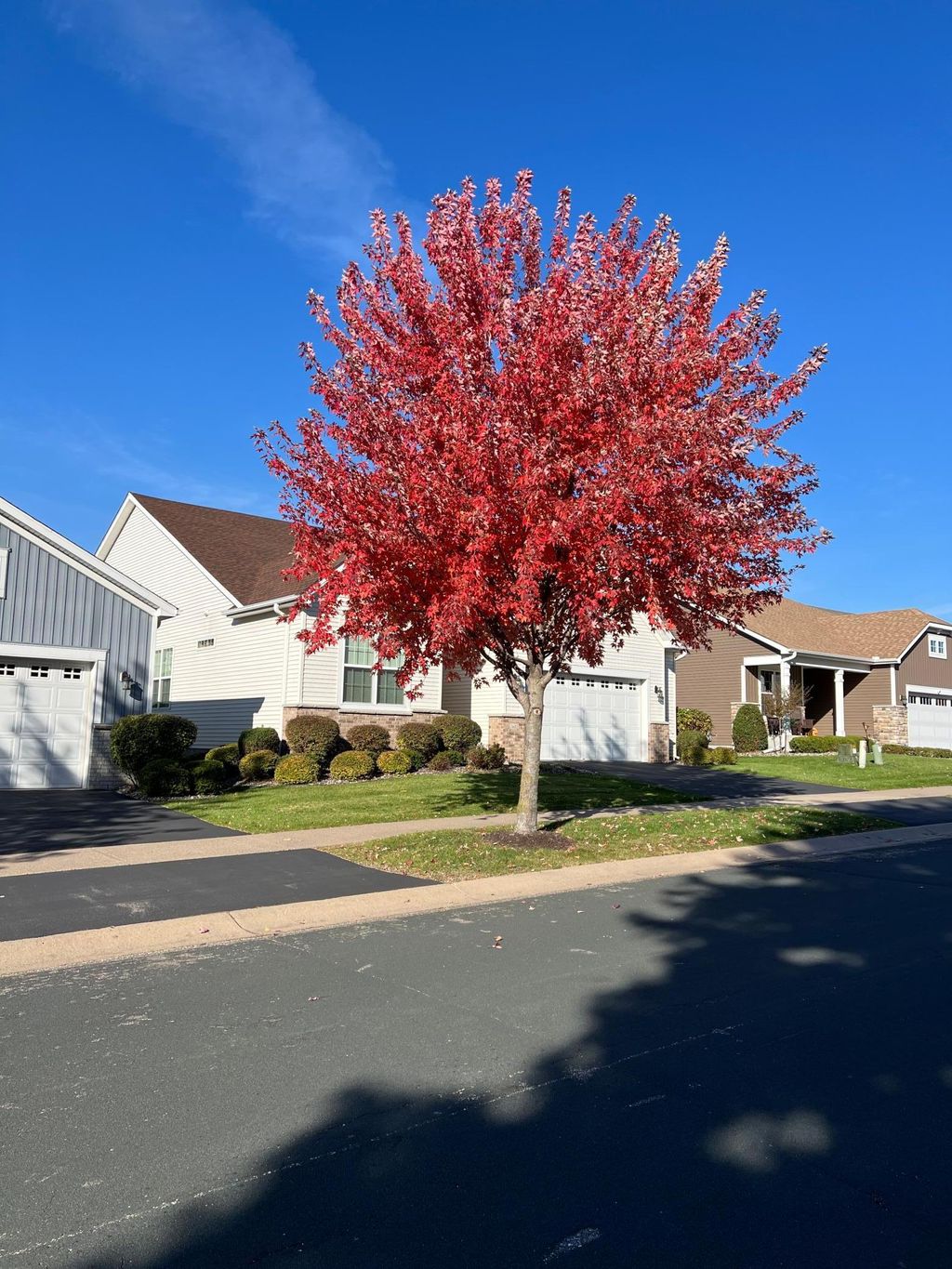 Photo of 7425 Peony Lane N, Maple Grove, MN 55311 (MLS # 6808872)