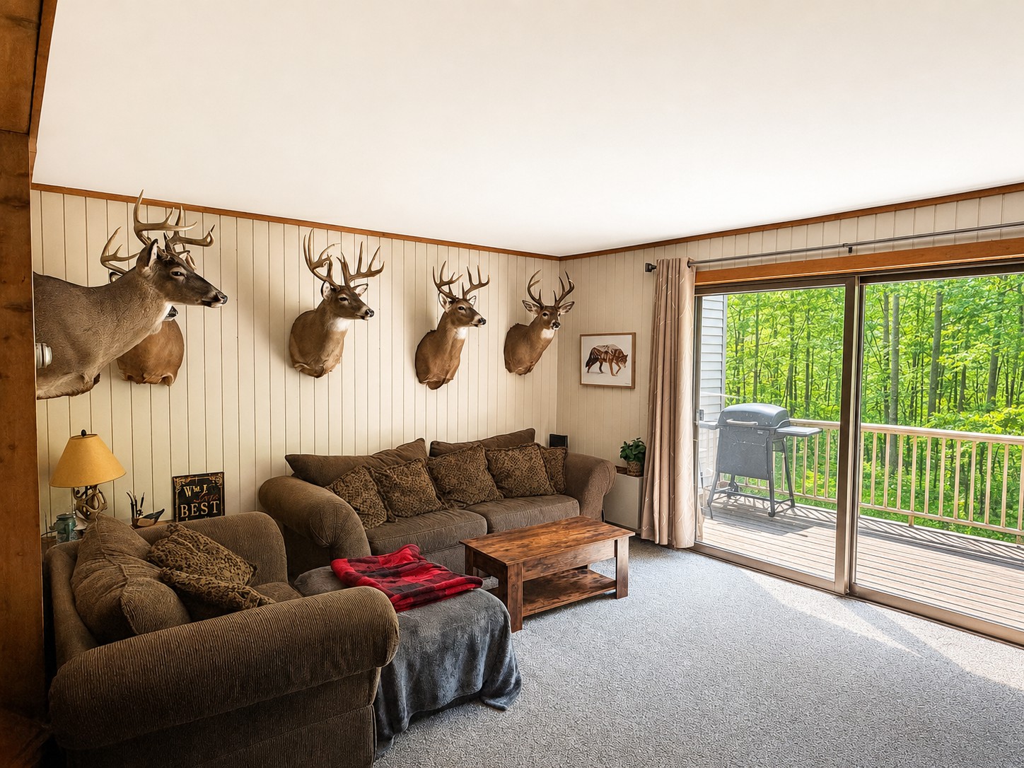 388 Quadna Mountain Road