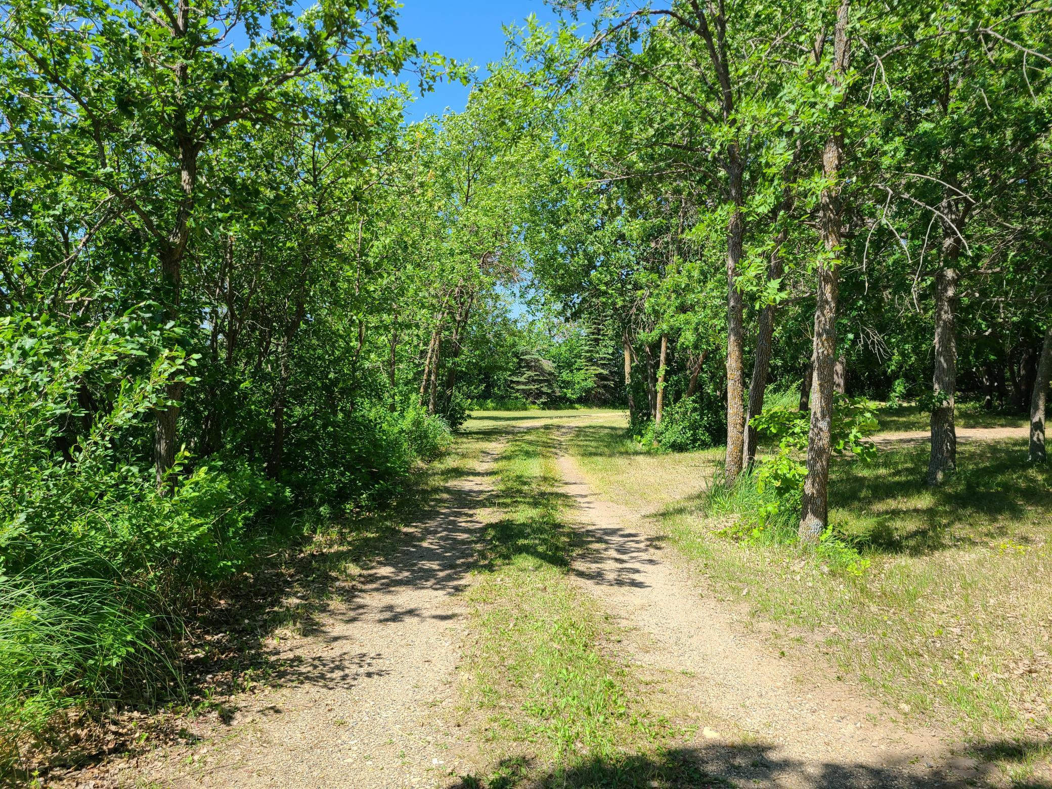 26373 Anna Lake Road