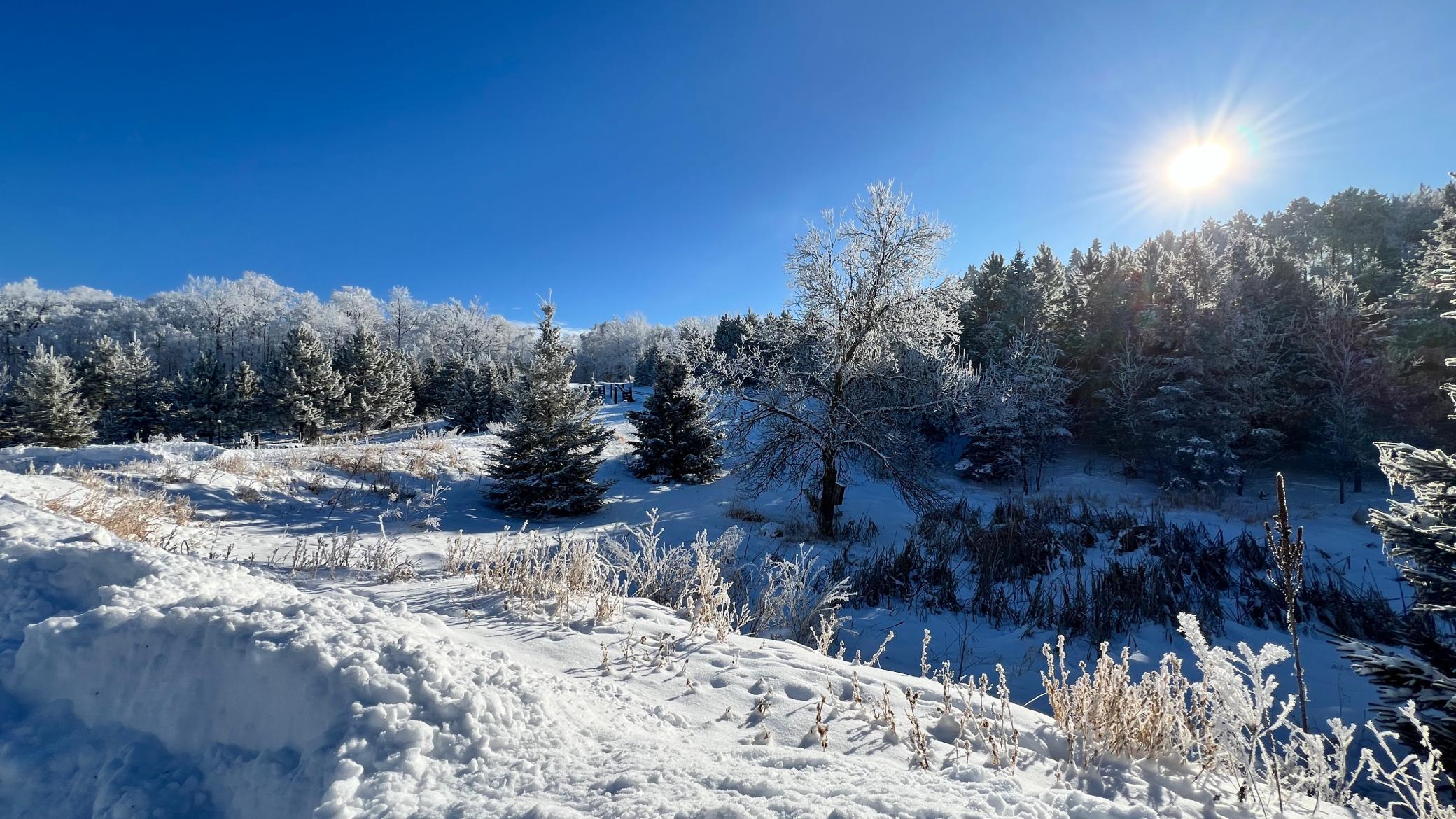 26088 Broadway Avenue