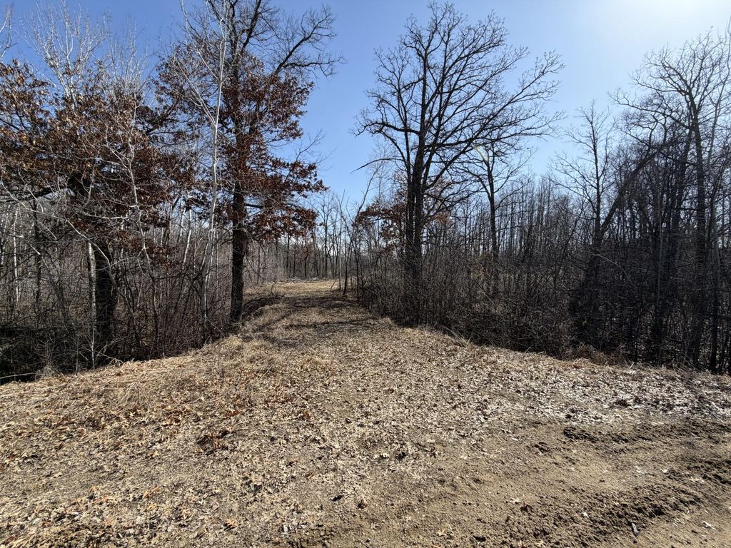 Photo of 39157 Rocky Court, Sauk Centre, MN 56378 (MLS # 7047591)