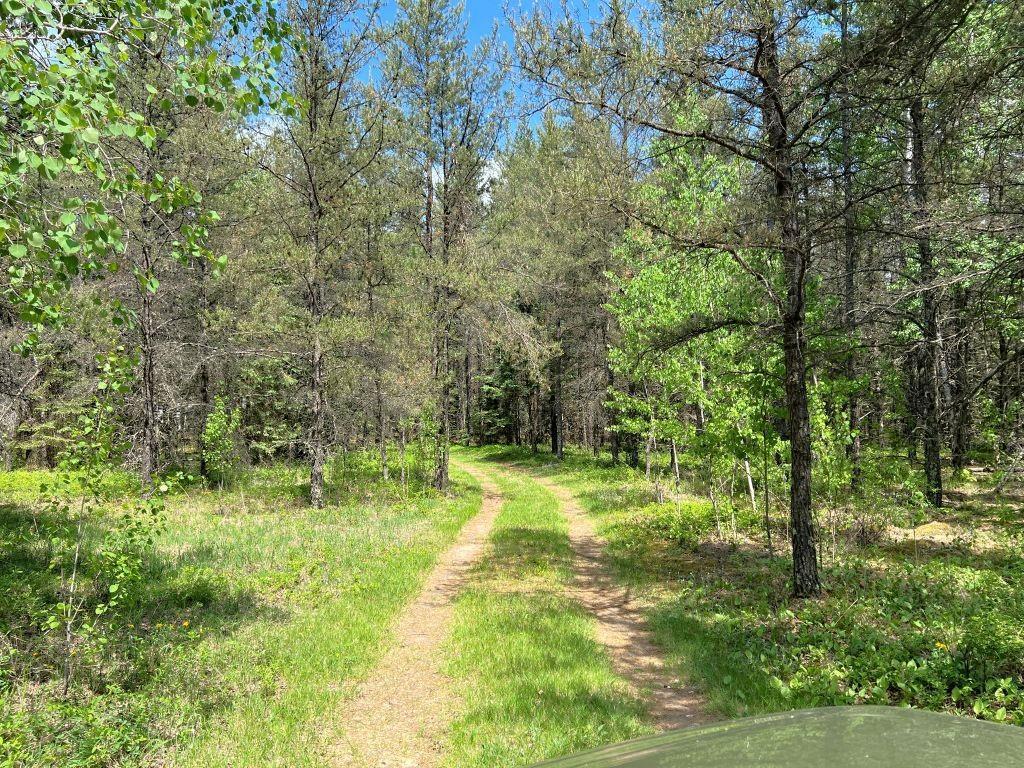 TBD County 109