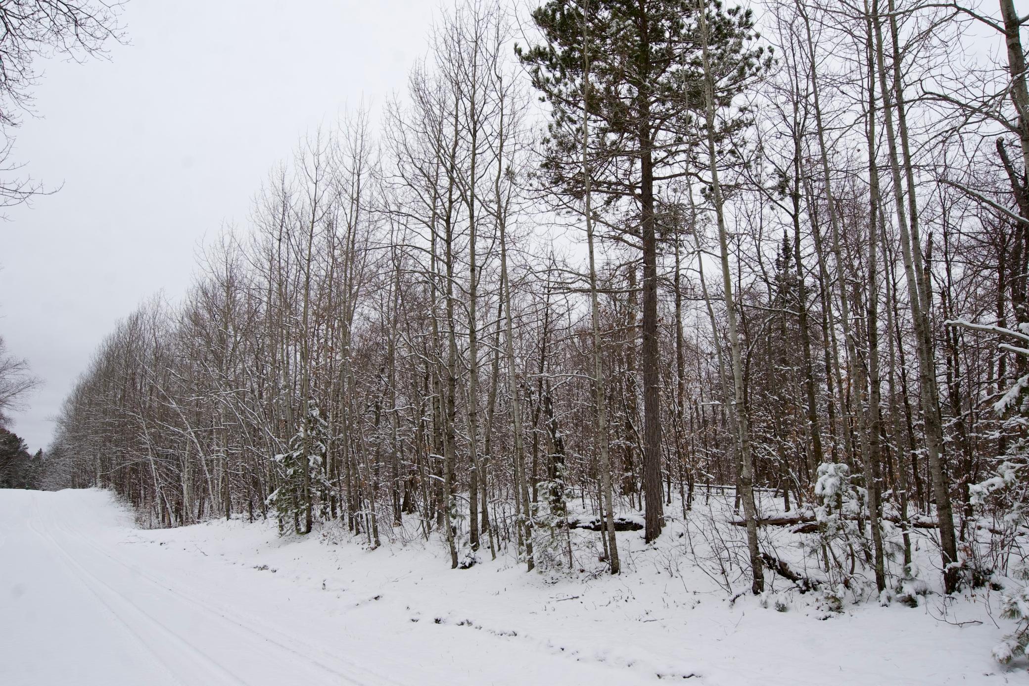 TBD Sheridan Woods Lane NE