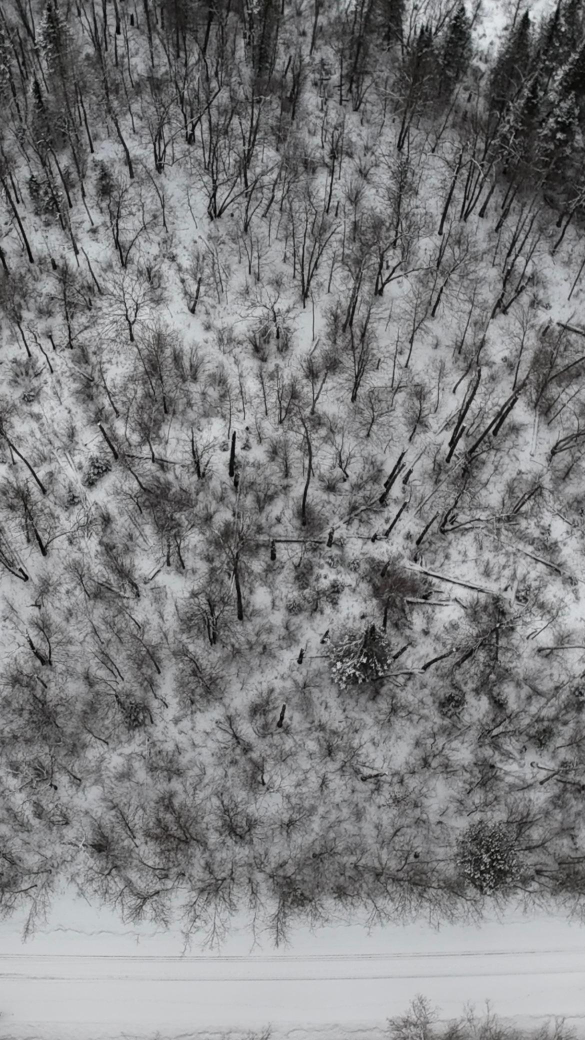 TBD Sheridan Woods Lane NE