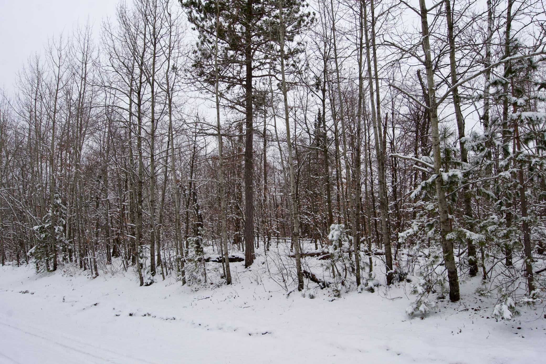 TBD Sheridan Woods Lane NE