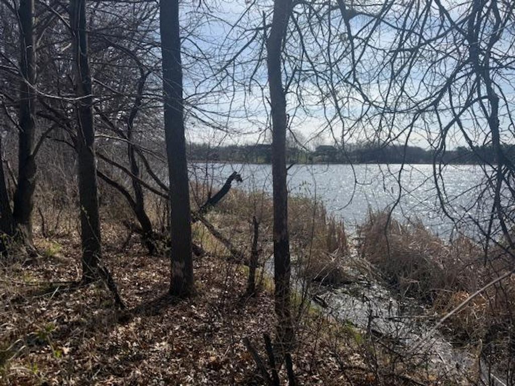 Photo of TBD XXX 352nd Street, Chisago Lake Twp, MN 55045 (MLS # 7060956)