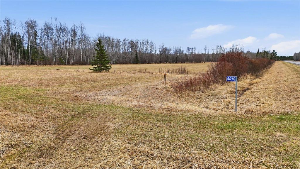 Photo of 4650 County Road 22, Littlefork, MN 56653 (MLS # 7024448)