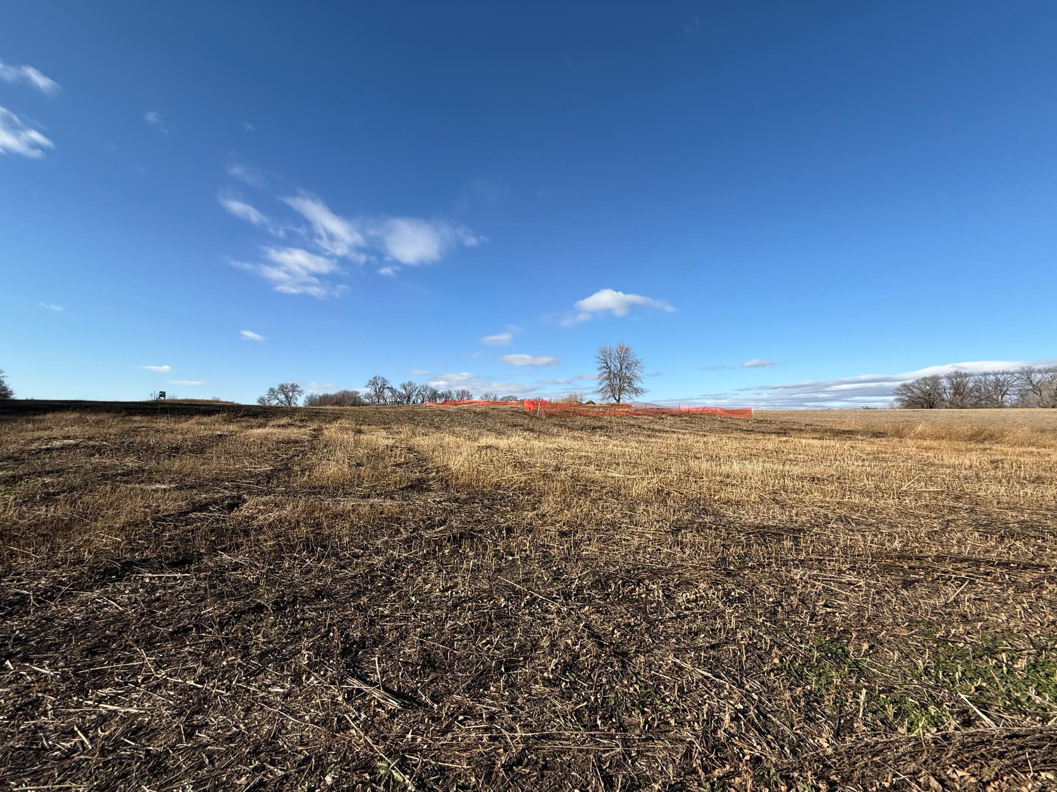 Lot 1, Block 1 Alivia's Avenue