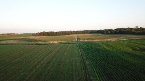 Photo of XXX CR4 / Major Ave, Hassan Valley Twp, MN 55350 (MLS # 6628393)