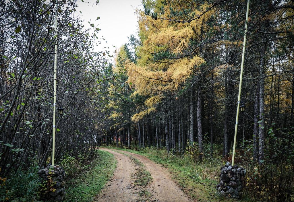 Photo of 7839 Stromberg Road, Embarrass, MN 55732 (MLS # 7033897)