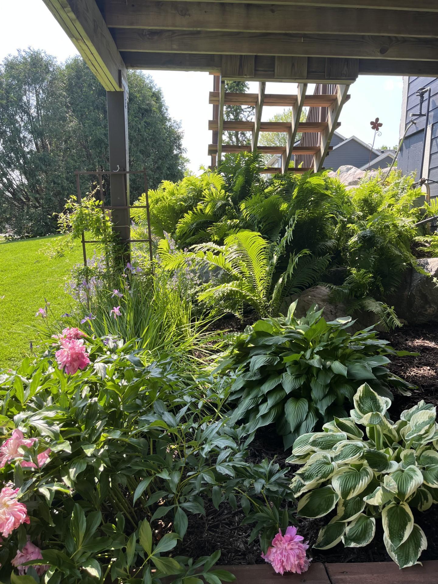 9315 Cold Stream Lane