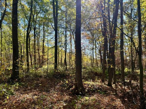 TBD County Rd. 8 Brainerd MN 56401