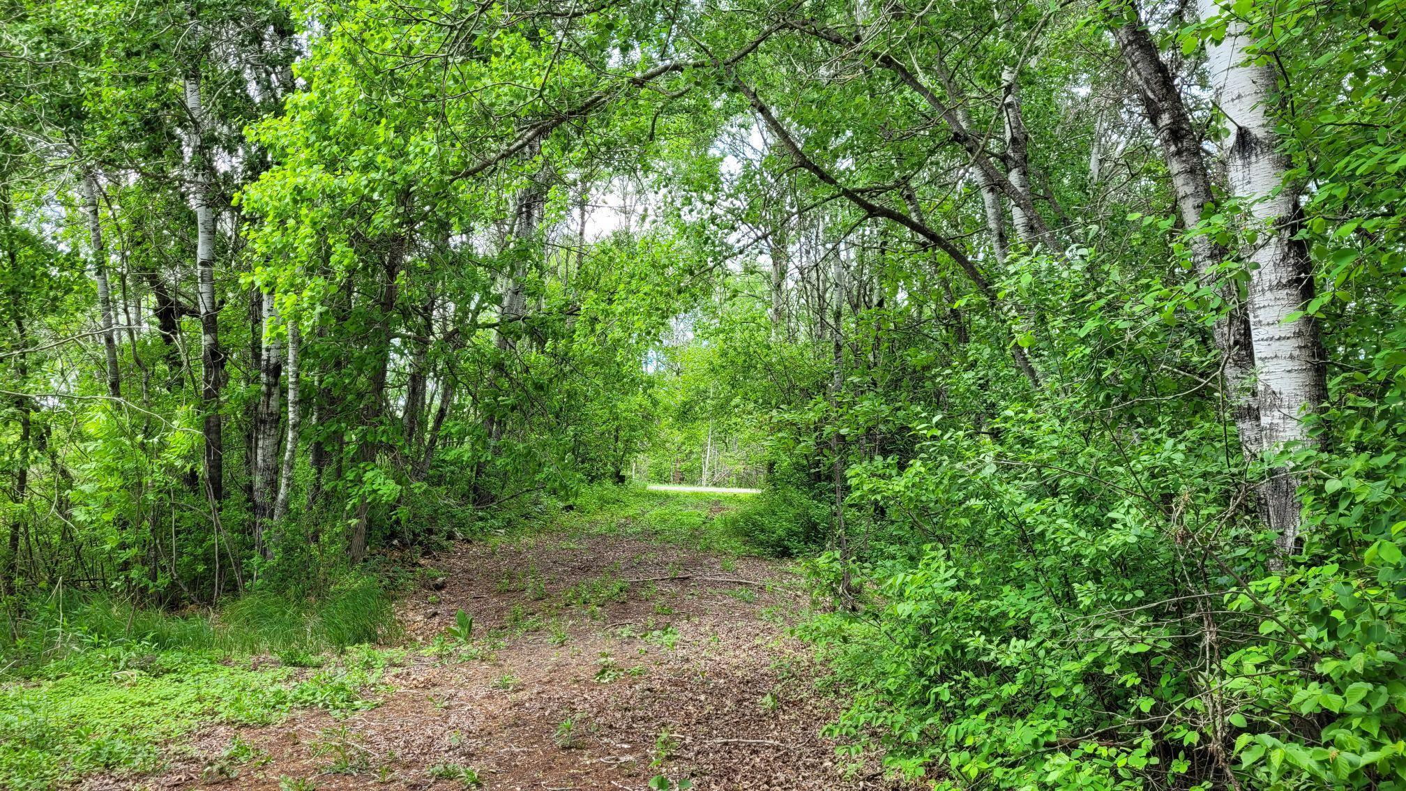 TBD* State Highway 84 SW