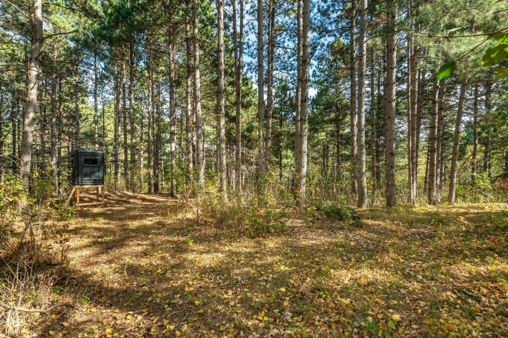 Photo of TBD Rocky Ridge Road, Henning, MN 56551 (MLS # 7140715)