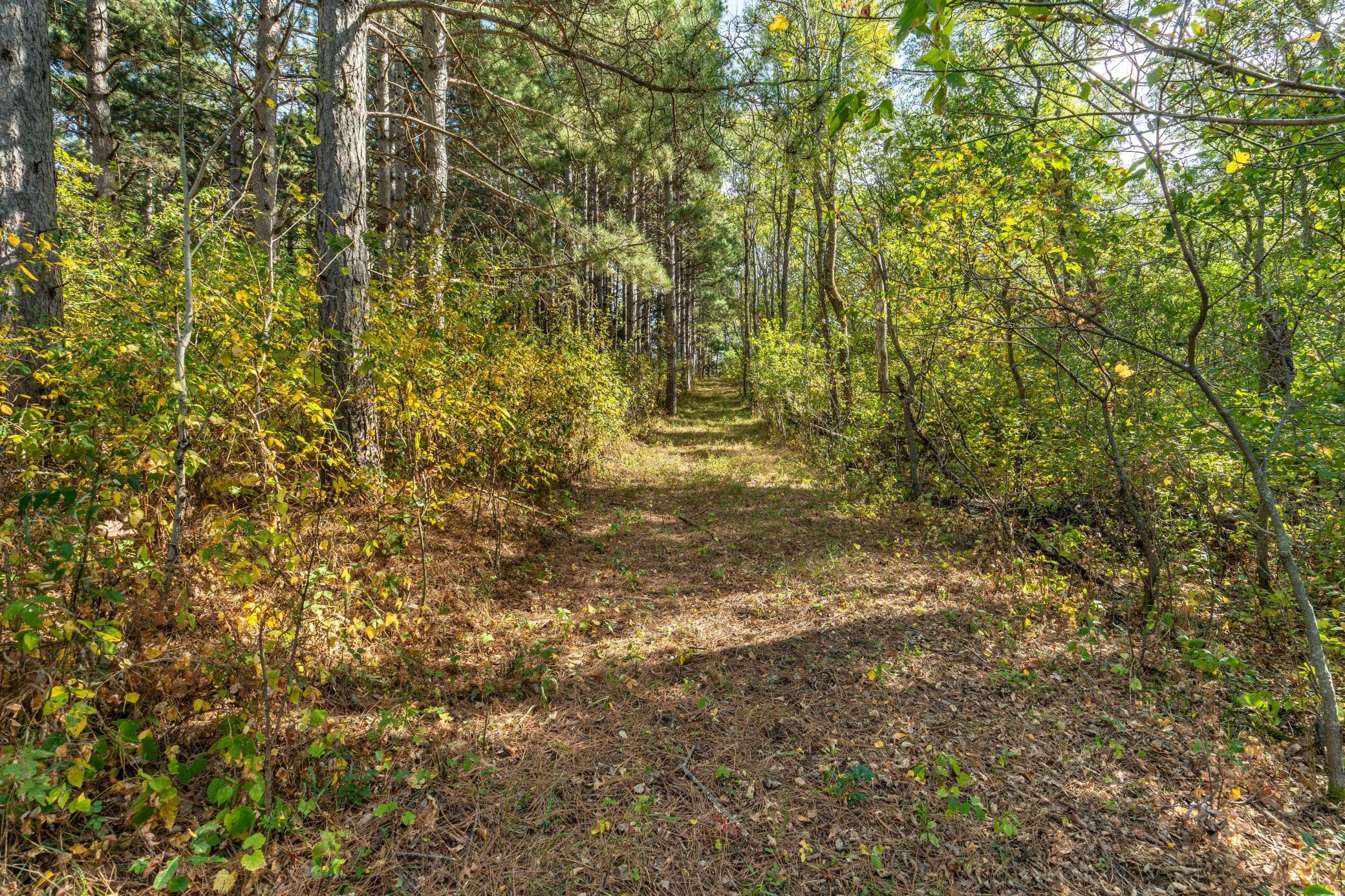 TBD Rocky Ridge Road