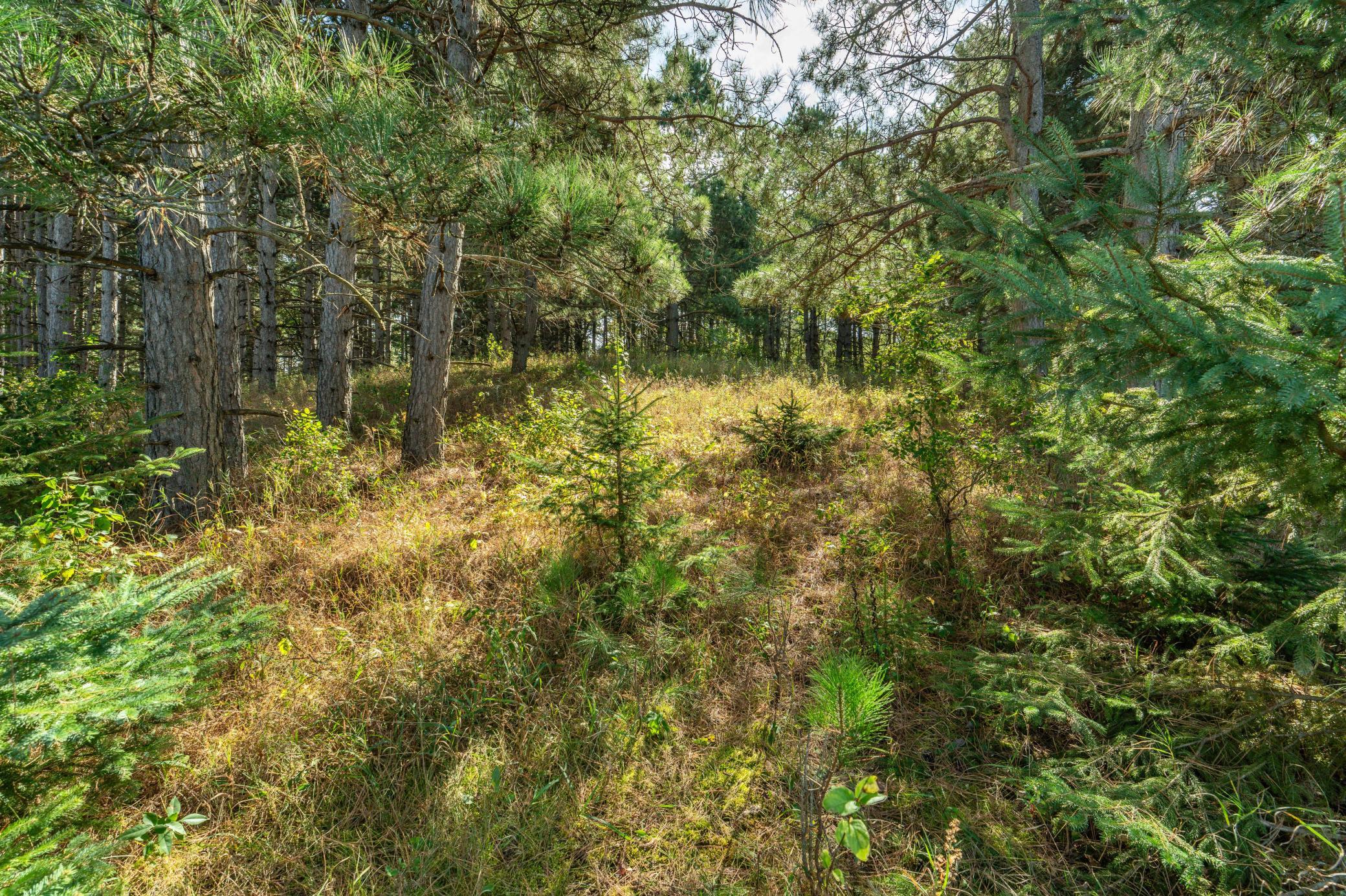 TBD Rocky Ridge Road