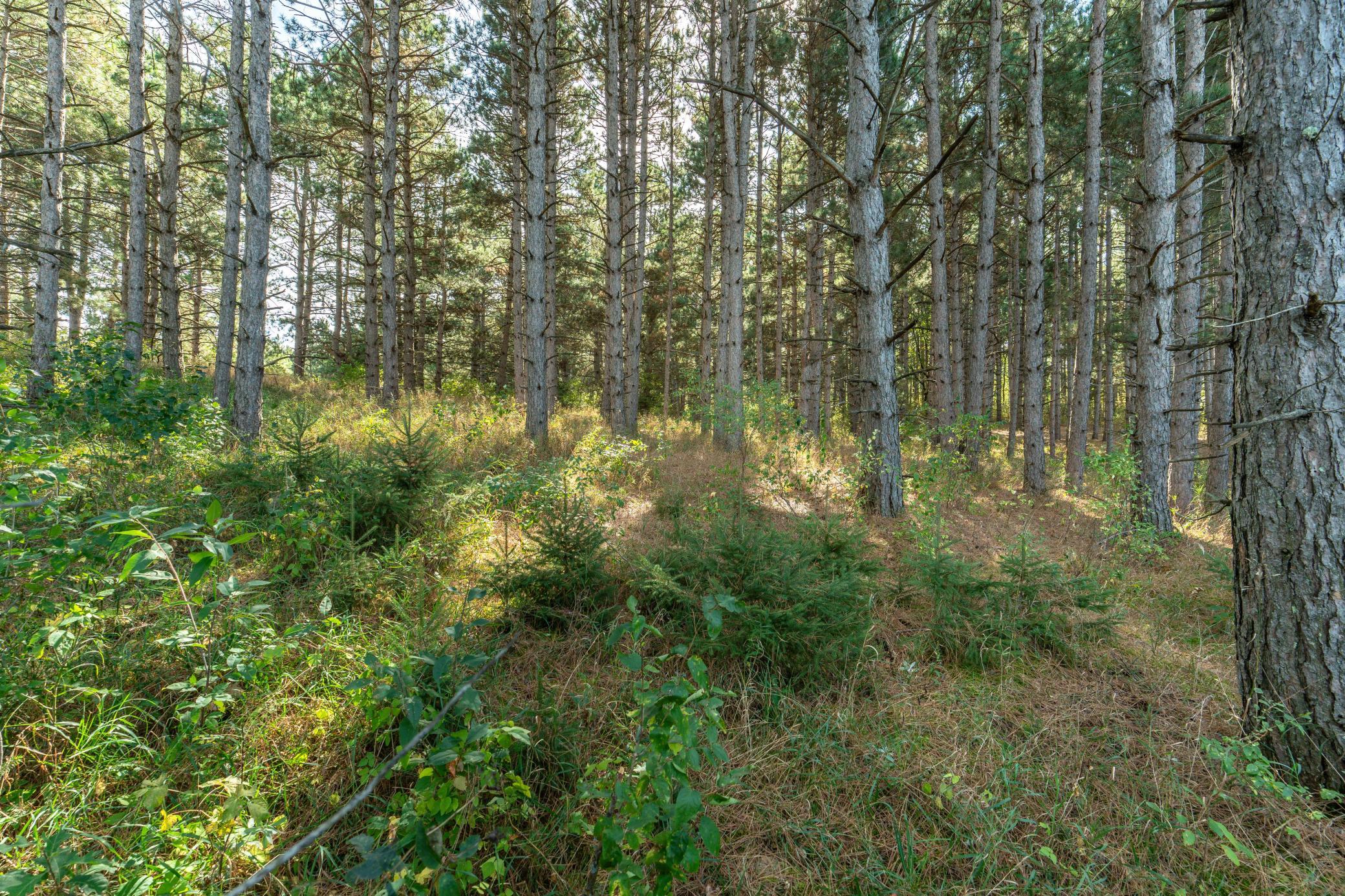 TBD Rocky Ridge Road