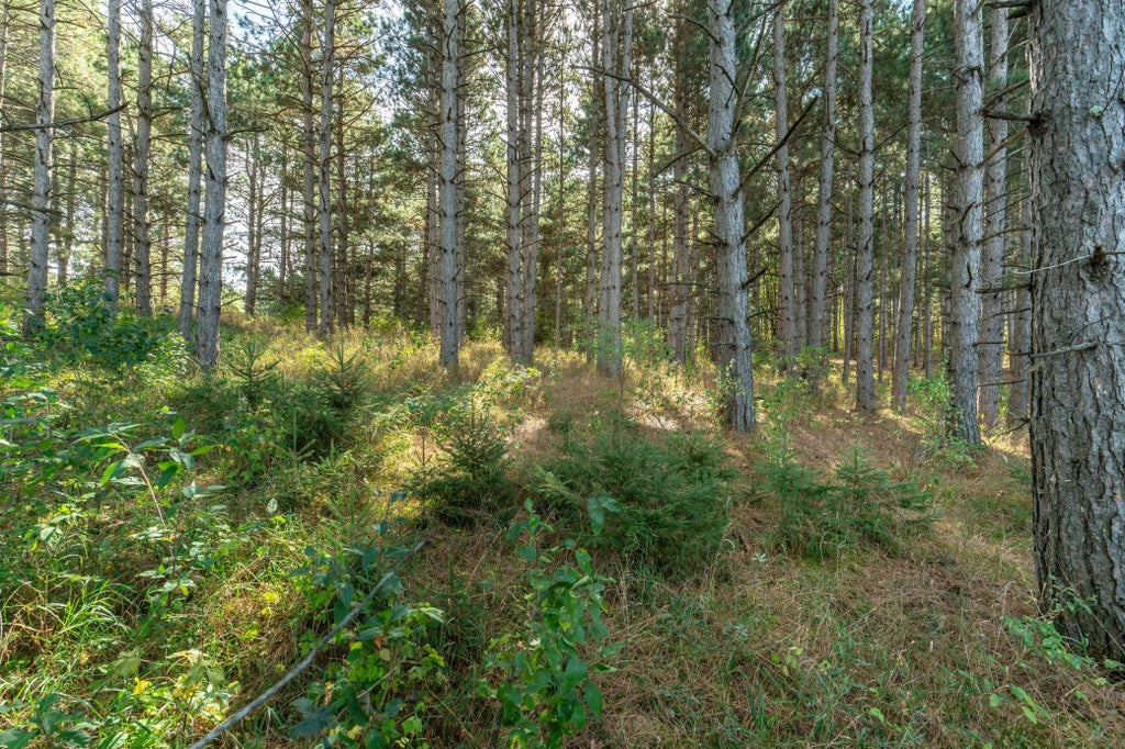 Photo of TBD Rocky Ridge Road, Henning, MN 56551 (MLS # 7140715)