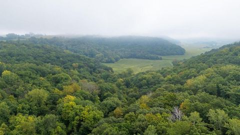 TBD (Lot 4) Goat Back Road Pepin WI 54759