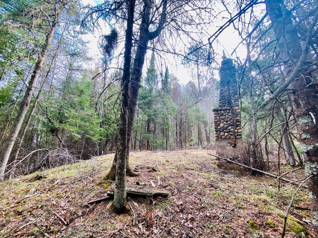 Photo of 11171 S Engstad Road, Solon Springs, WI 54873 (MLS # 7061226)