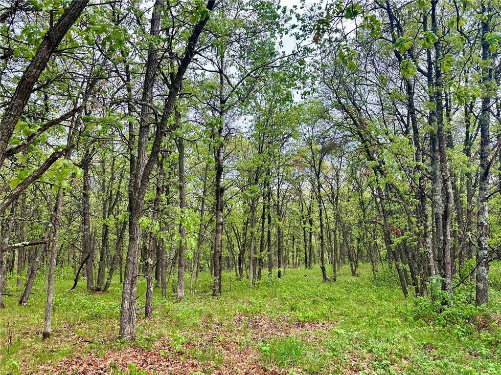 TBD Lot 4 204th St