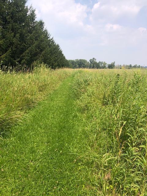 TBD Sunny Acres Road NE