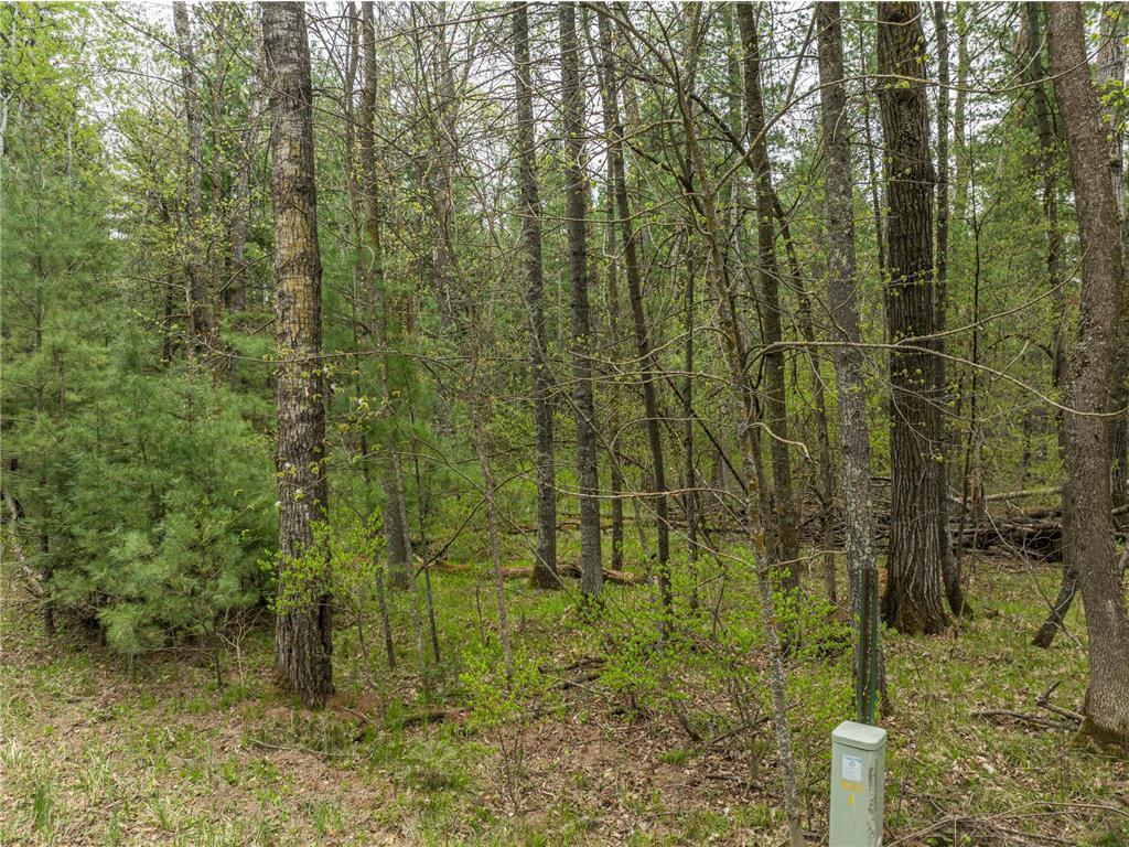 Photo of TBD Chokecherry Drive, Nevis, MN 56467 (MLS # 7103488)