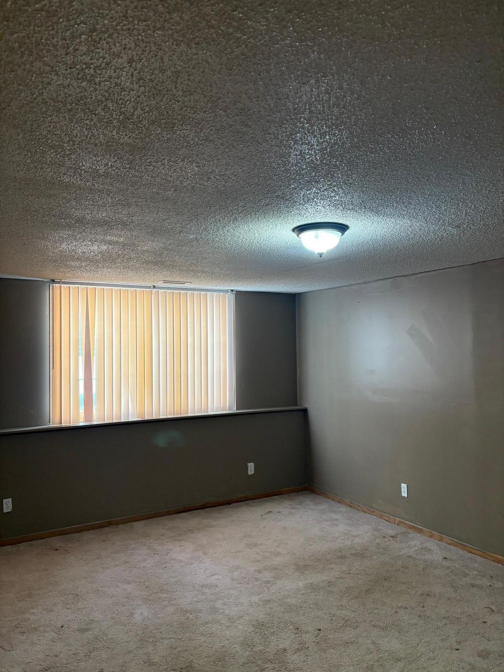 Photo of 2617 Alpine Court, Monticello, MN 55362 (MLS # 7010257)