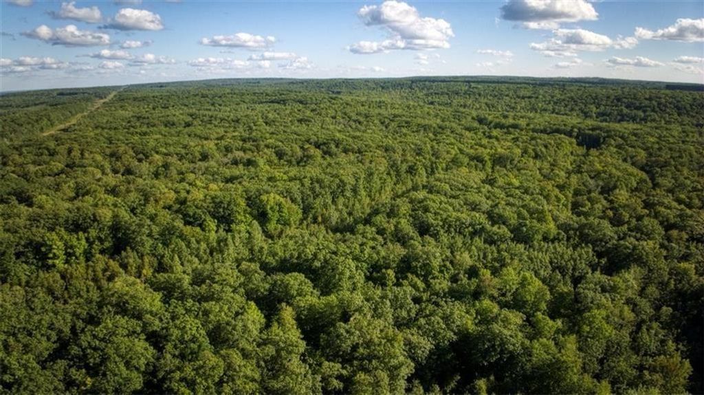 Photo of Block 9 Comet Road, Exeland, WI 54835 (MLS # 7002401)