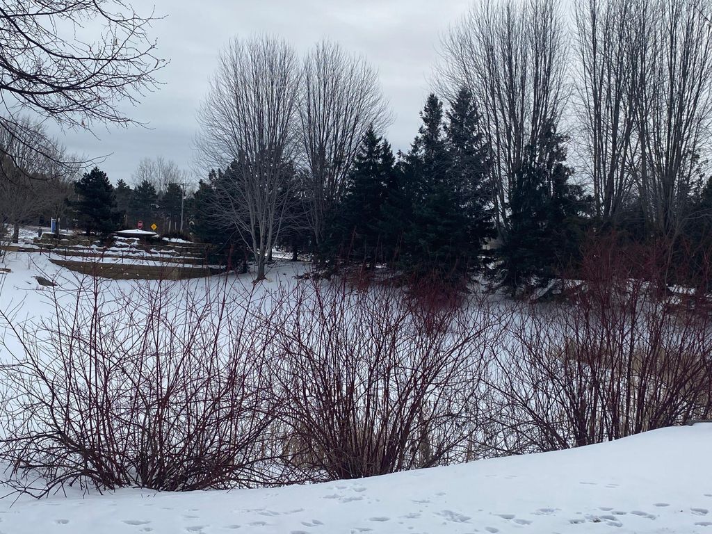 Photo of 10759 Falling Water Lane #B, Woodbury, MN 55129 (MLS # 7016882)