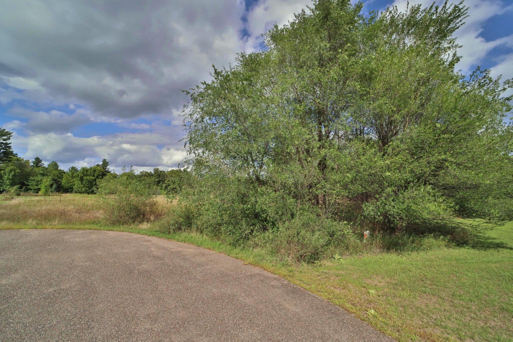 Photo of TBD Grouse Court, Little Falls, MN 56345 (MLS # 7140417)