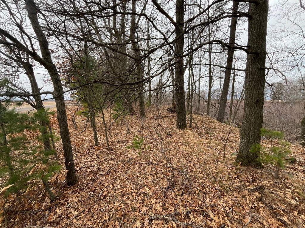 Photo of TBD Ten Mile Drive, Chetek, WI 54757 (MLS # 7105576)