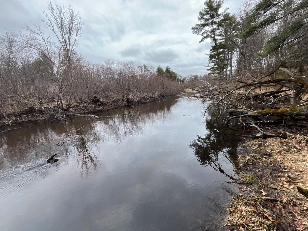 Photo of TBD Ten Mile Drive, Chetek, WI 54757 (MLS # 7105576)