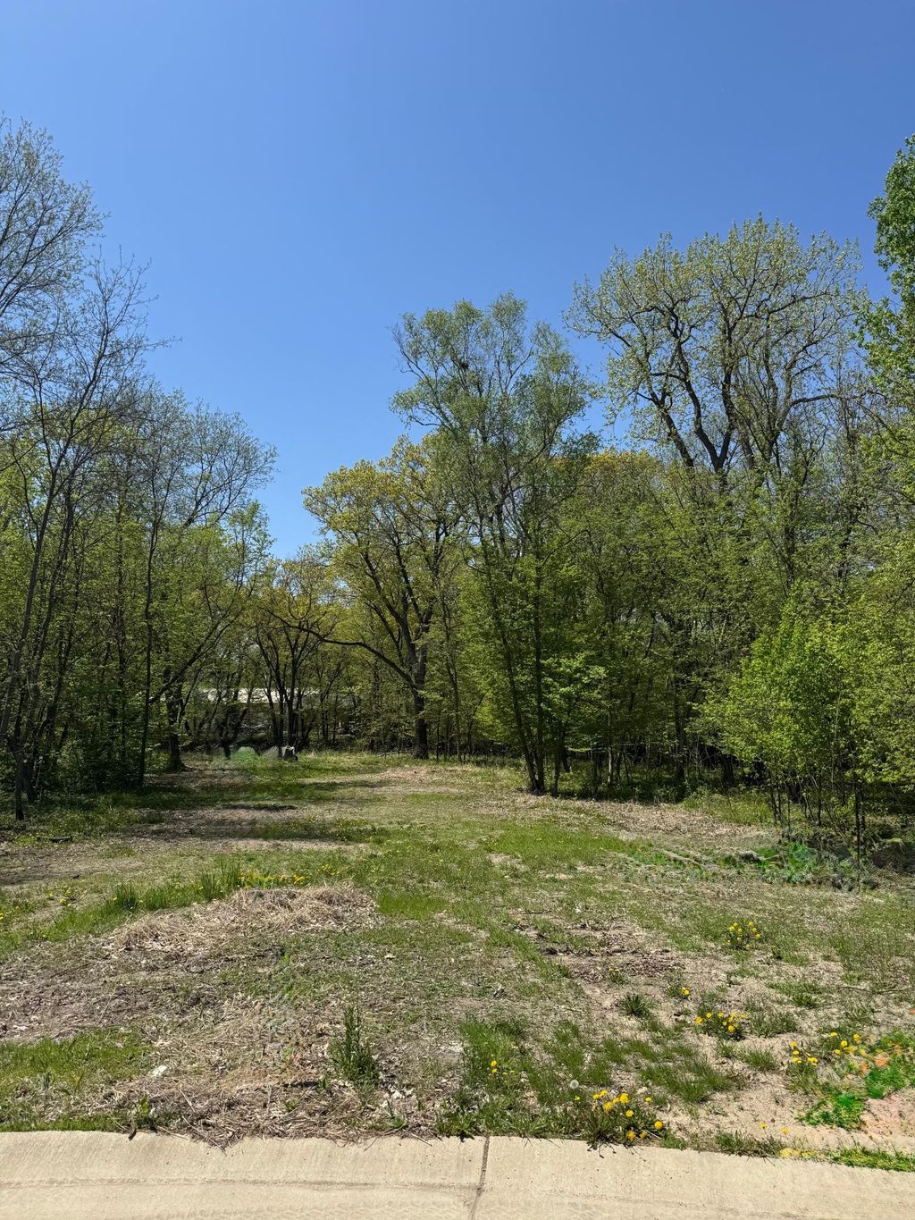 Photo of 180 Woodland Drive, Henderson, MN 56044 (MLS # 7079113)